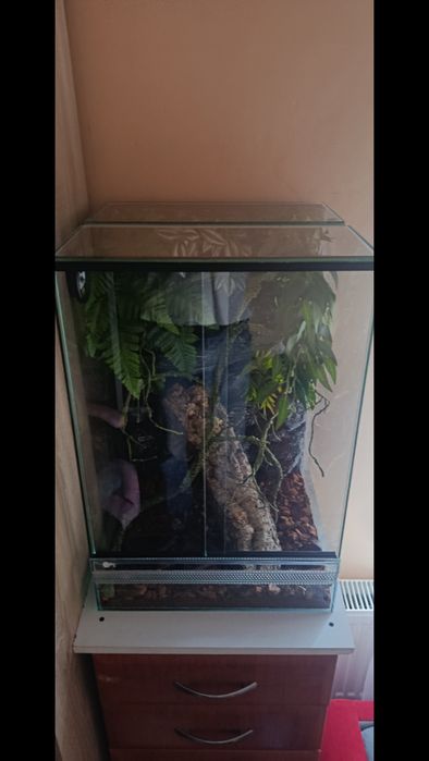 terrarium i akwarium na zamówienie