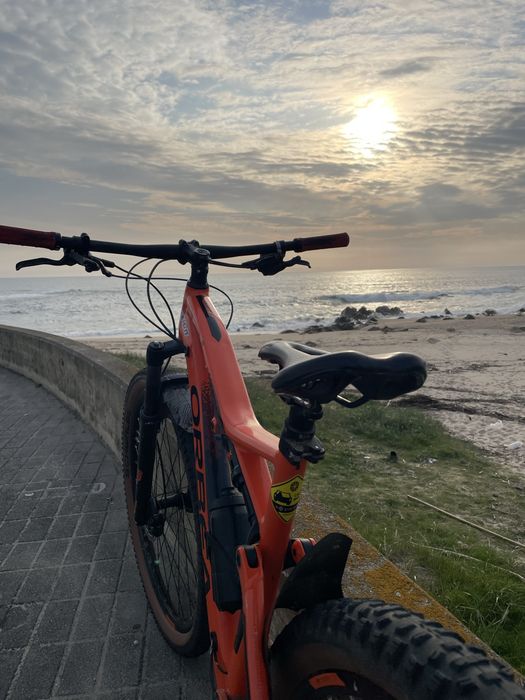 Orbea Occam TR L
