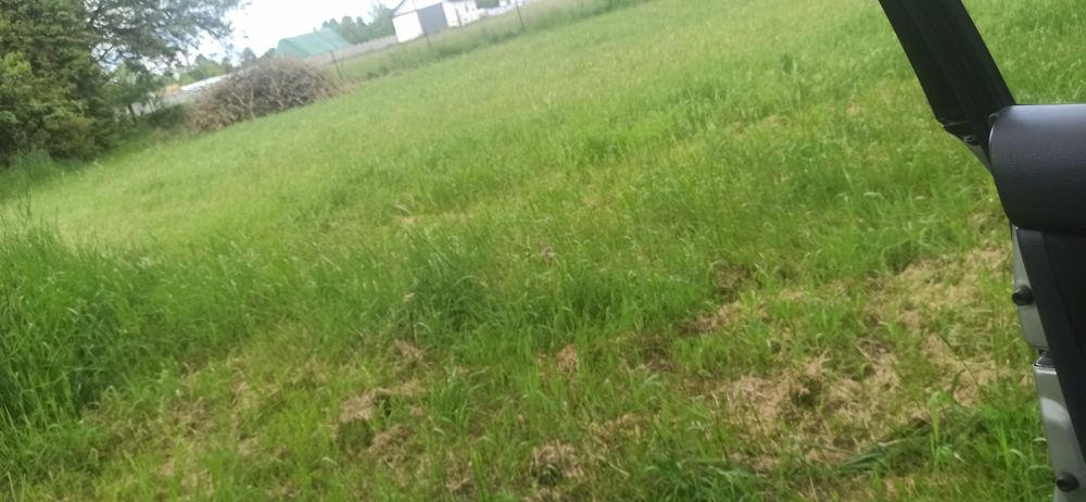 oddam gałęzie z jabłoni za darmo