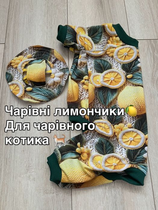 Одяг для свінксів