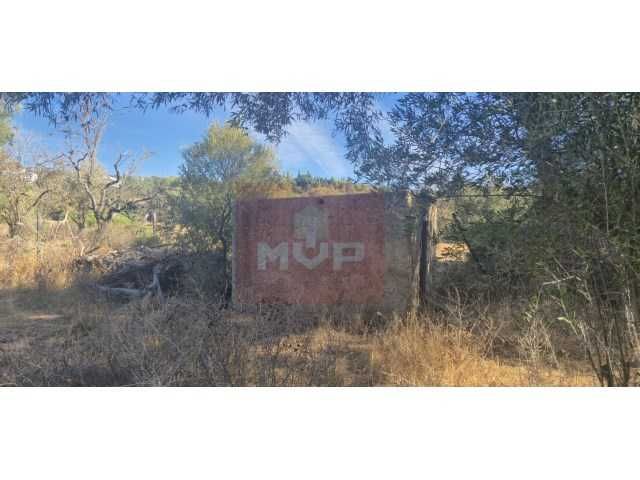 Terreno rustico na Falfosa