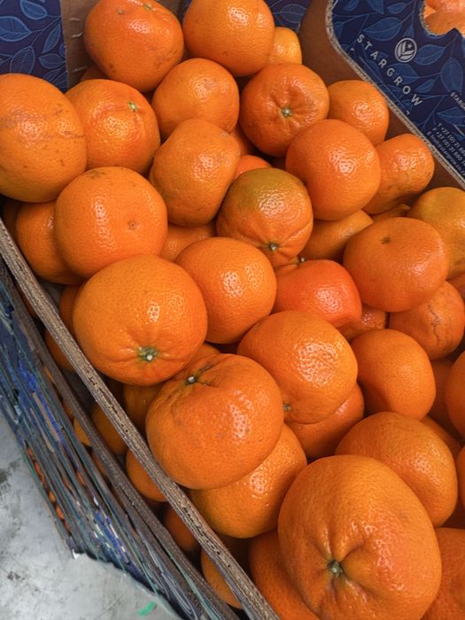 Mandarynki 10 kg op (3zł kg)