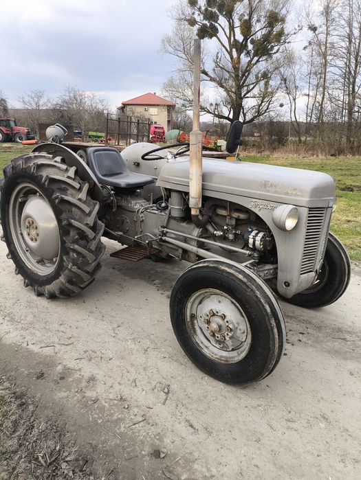 Ciągnik Ferguson te-a traktor tea 20 tea20 Massey Ted tef ursus c-330
