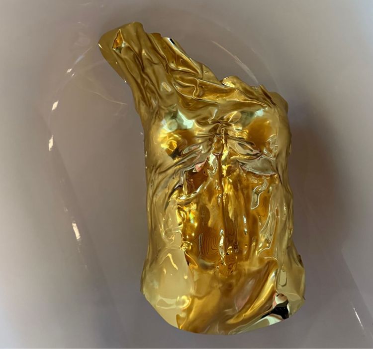 Корсет трендовий золотий та срібний