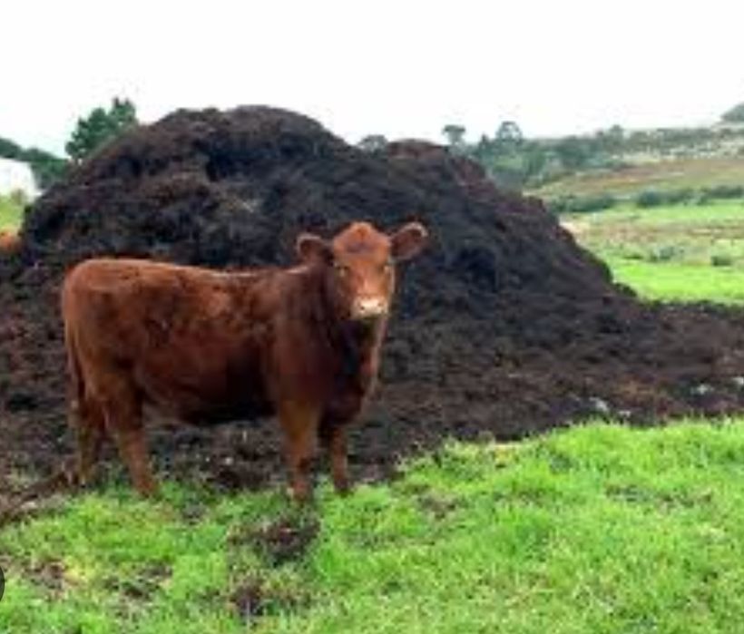 Продам перегной конский, коровьяк, песок, Торф.