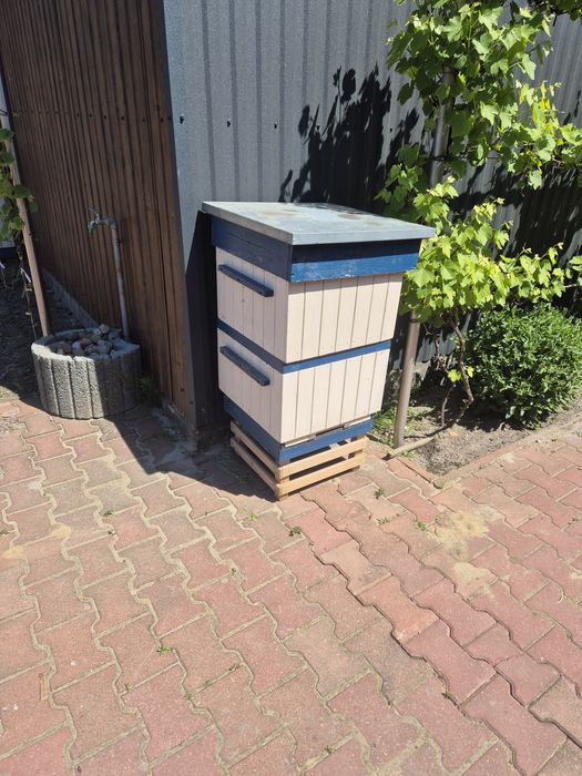 4 szt ul wielkopolski