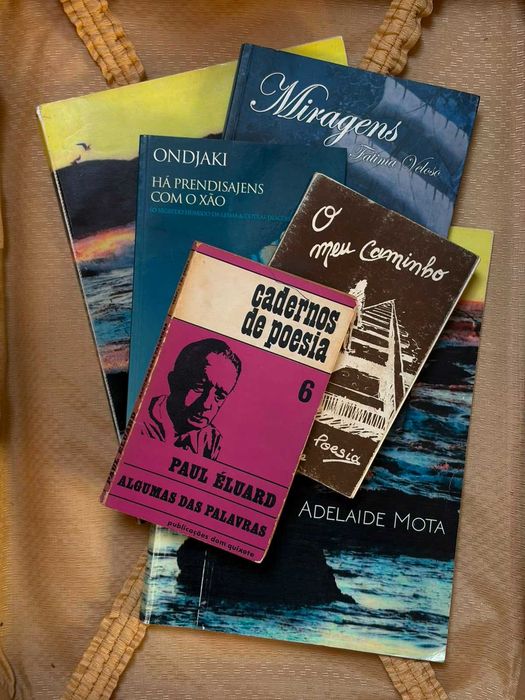 Lote Livros de Poesia