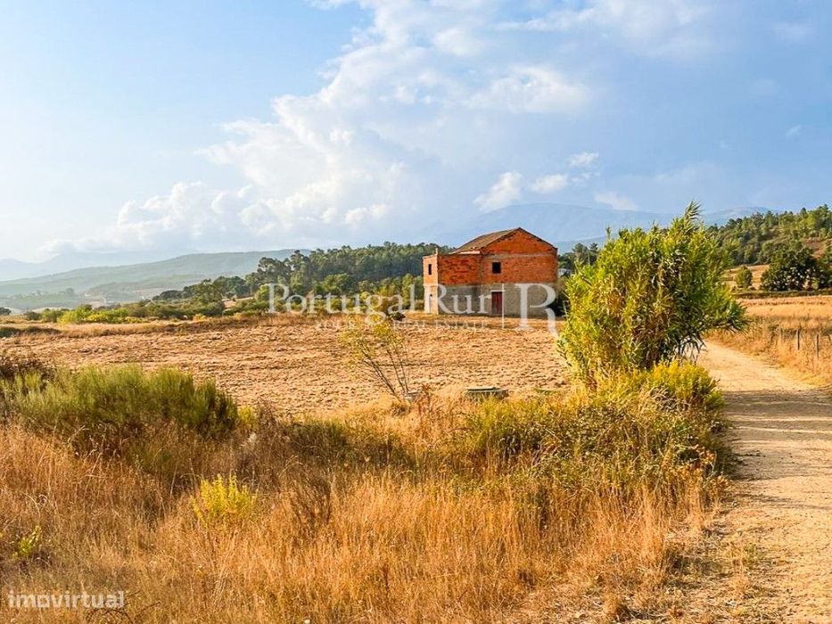 Quinta de regadio com 46.000 m2, em Alcaria - Fundão