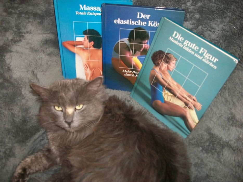 Альбомы на немецком языке о массаже.
