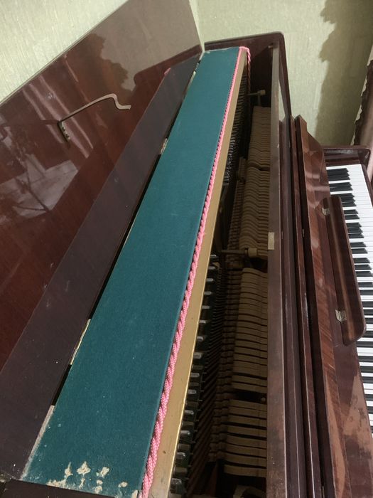 Піаніно Ласточка