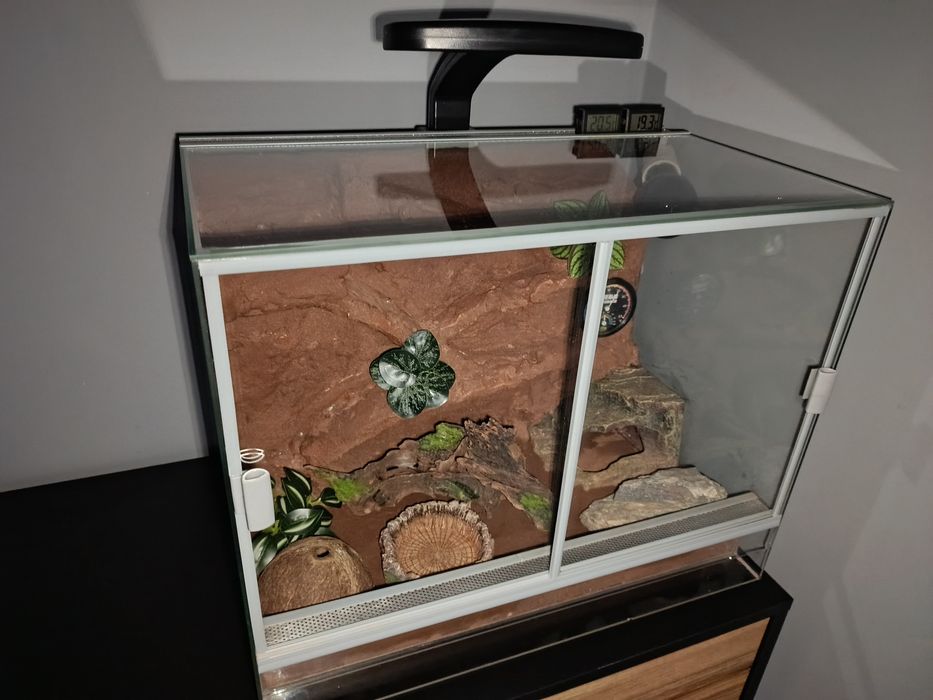 Terrarium z wyposażeniem