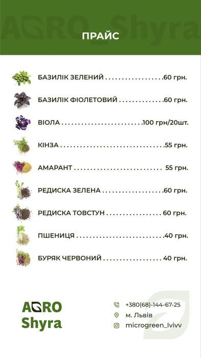 Мікрозелень-свіжий базилік