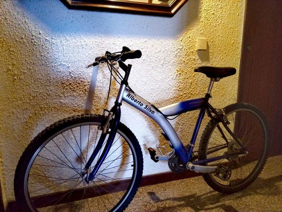 Large bicycle / 6-speed Shimano / Brand: Alberto Silva.64297818465665120