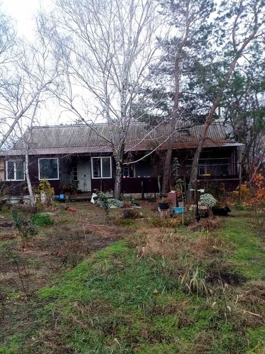 Продам дім в с. Піщанка