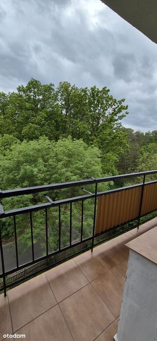 3 pokoje | balkon | 53m2 | przy Lesie
