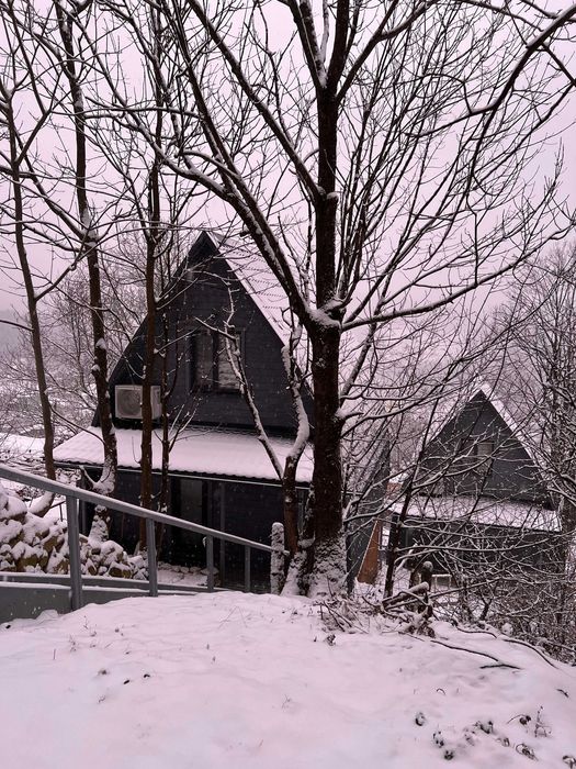Продається два котеджі, готовий бізнеc, Яремче, 310 000 €