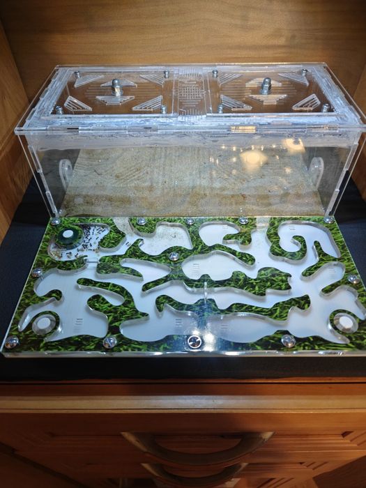 Messor Barbarus 1Q + 40W, formikarium.