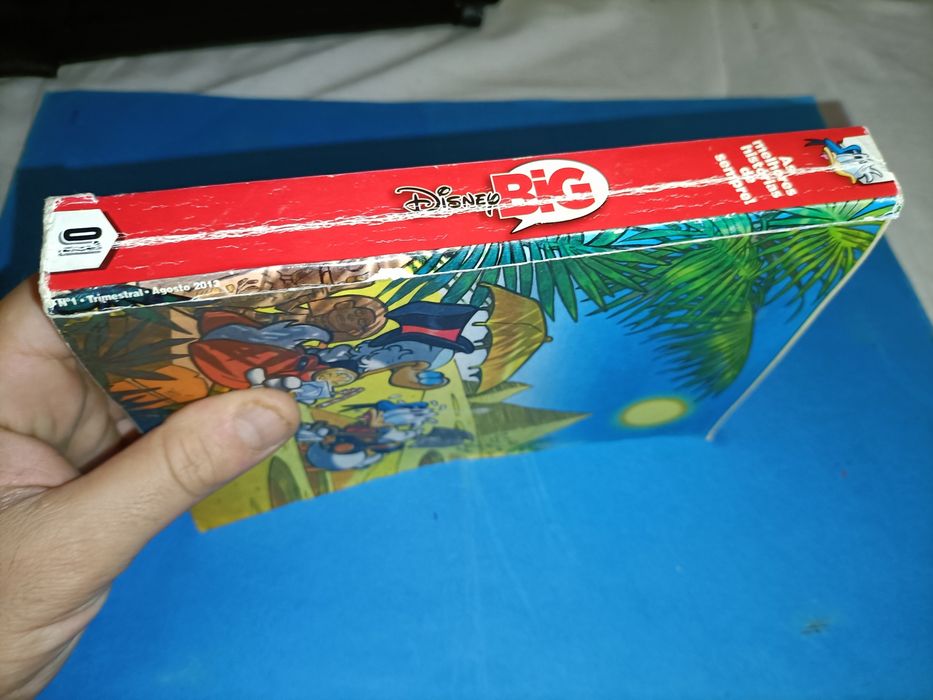 Disney Big Nr°1_2013