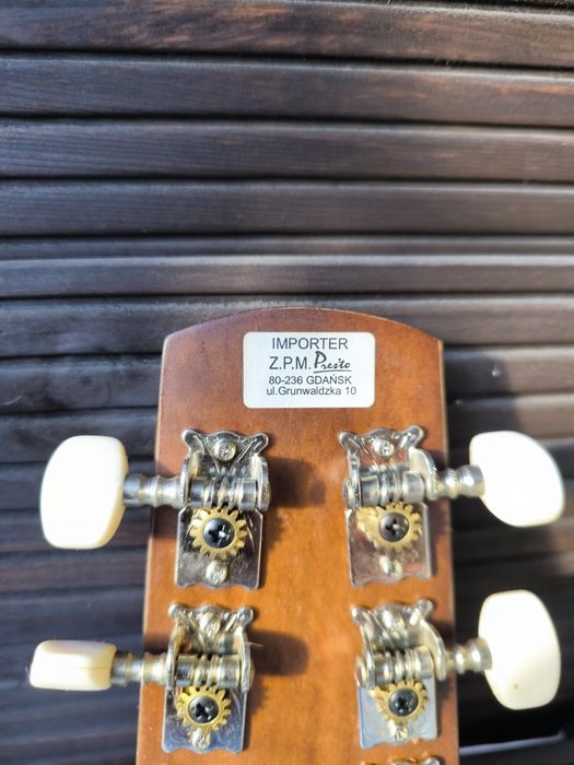 Gitara Fiesta MS-90 OPIS!