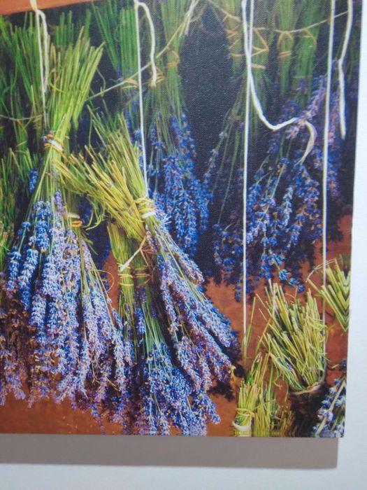 Quadros Natureza 3 peças,simples,agradaveis