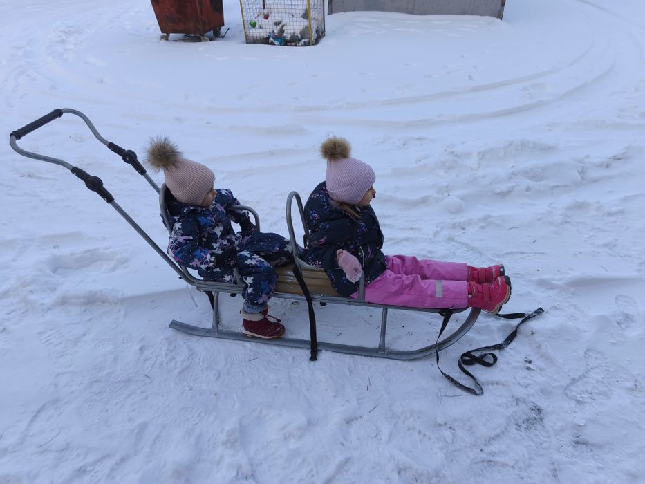 Санки для двійні