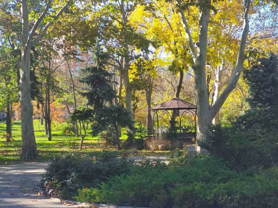 1ком,Газ,Котел, Новый кирпичный дом, Говорова/Зоопарковая, парк Победы