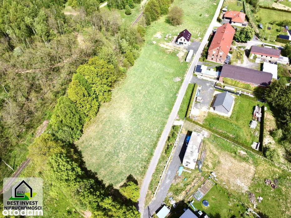 Działka z widokiem na góry otoczona lasem - View 3