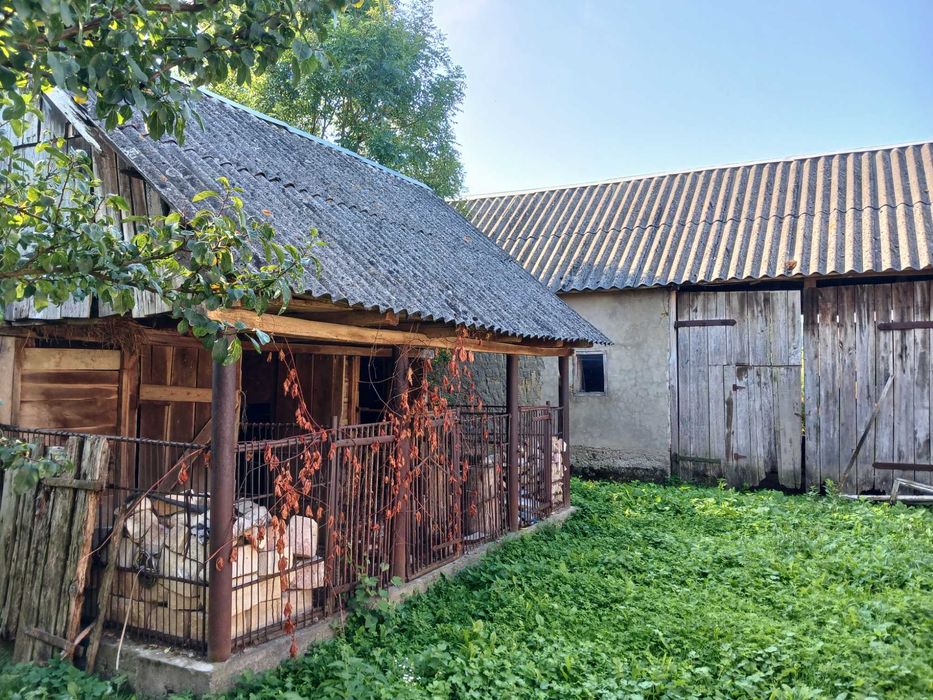 Будинок під бізнес та житло в затишному селі Берегівщини (ліс, озеро).