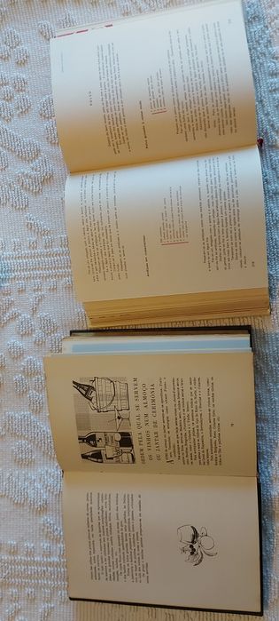Dois  livros de cozinha