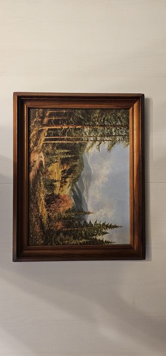 Obraz przectawiajacy przyrodę