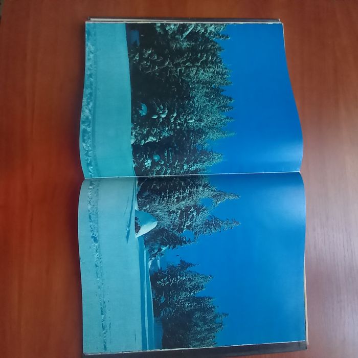 "Живиця", В.Пилип'юк, фотоальбом