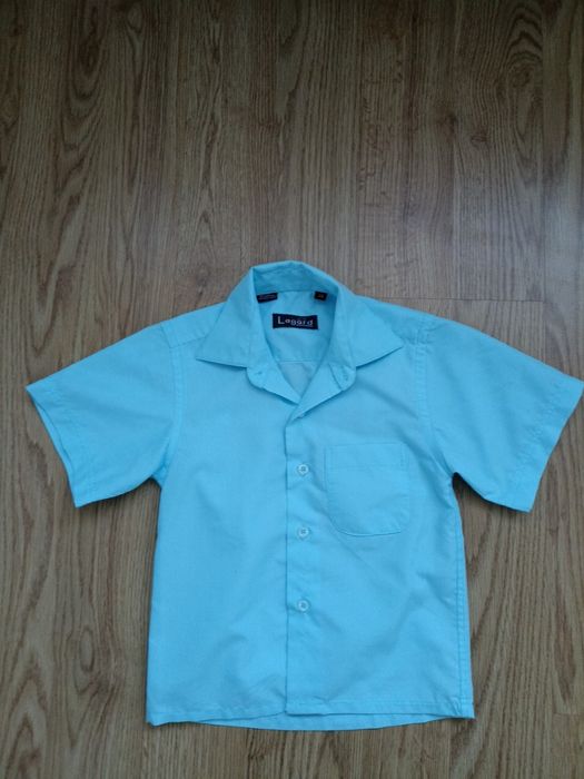 шведка на хлопчика