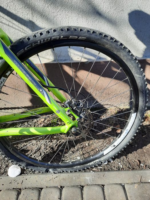 Rower Ghost Edition 2000