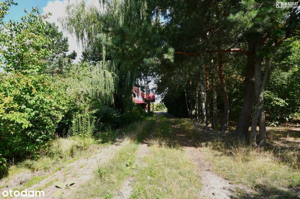 Dom – Rozpłucie Drugie - Widok 4