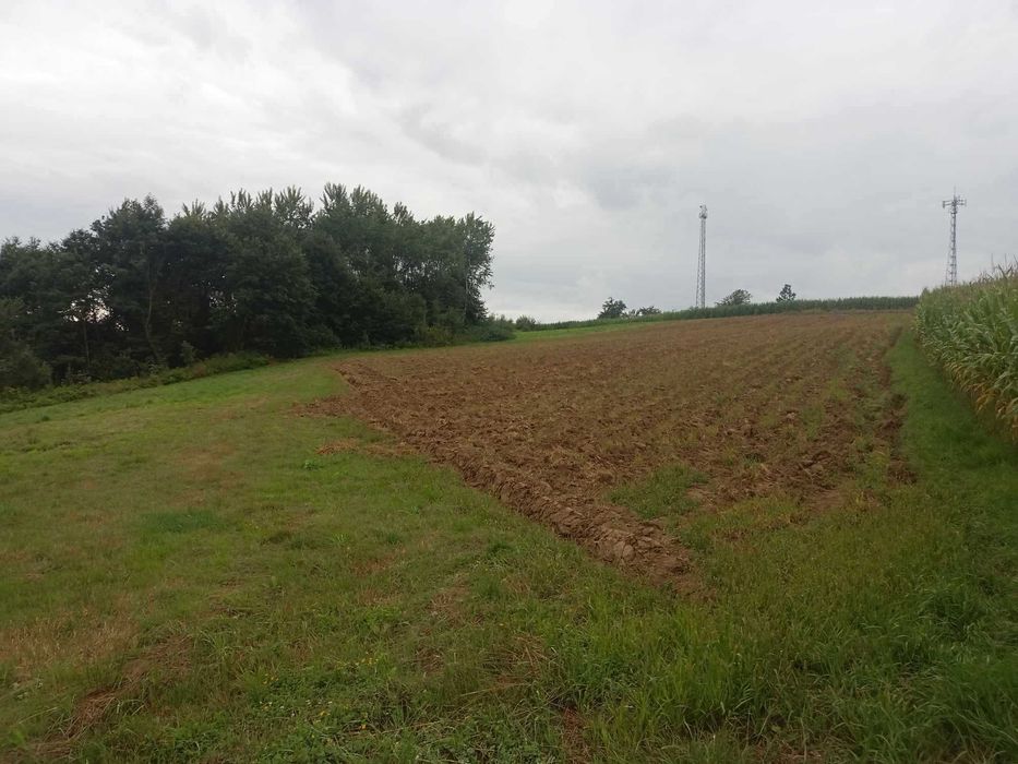 Działka nieruchomości 60 ar z WZ - Widok 5
