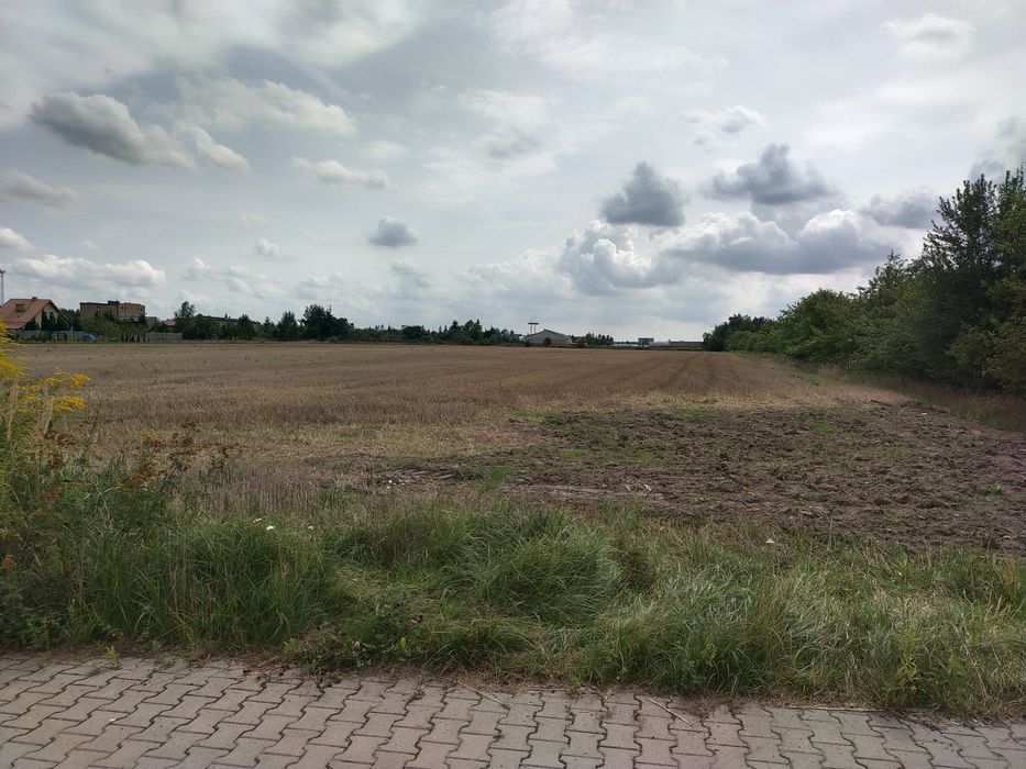 Zdjęcie 6