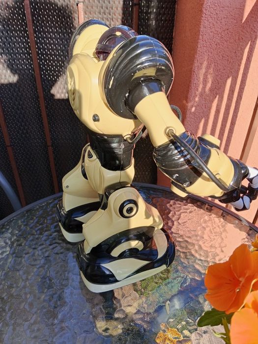 Robot interaktywny