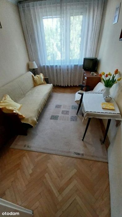 Zdjęcie 8