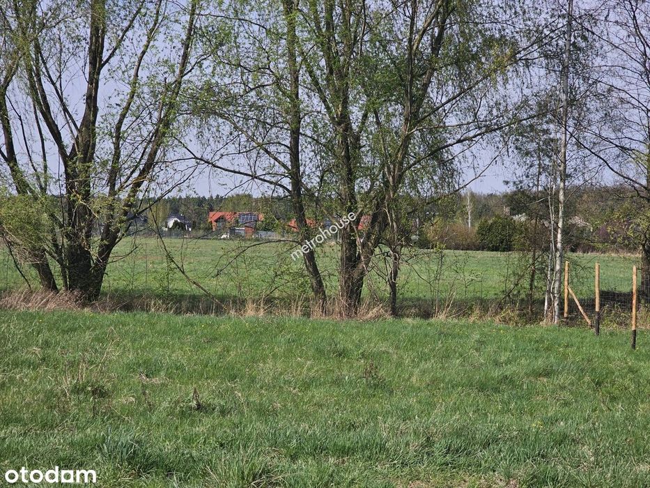 Działka Budowlana 1462 M² | Dobiesz | Piękne Brzozy | Dojazd Z 2 Stron - View 4