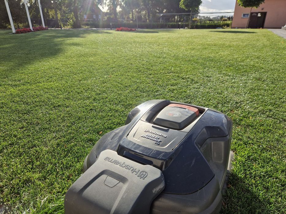 Trawa z rolki - Producent Garden Grass