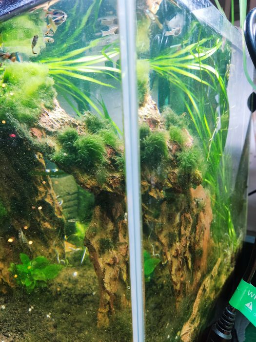 Akwarium Aquael 30l stabilne