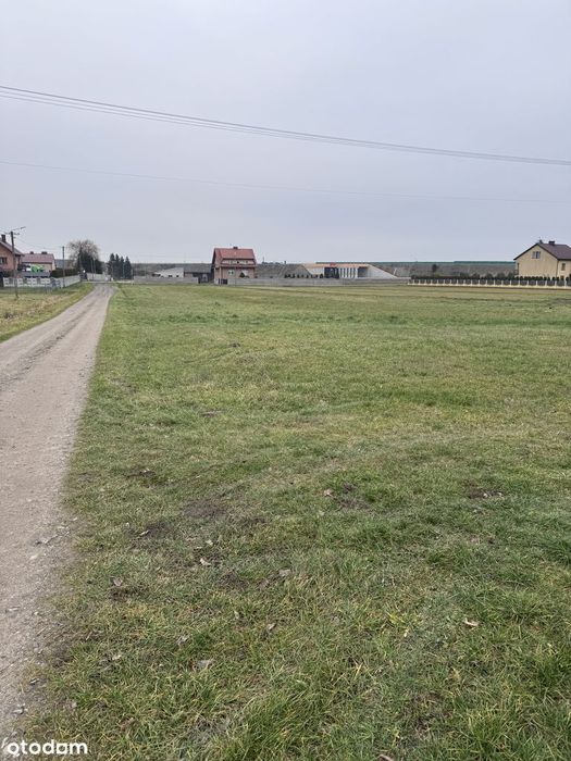 Działka budowlana dom gospodarstwo Siedlisko 9500m2 LUBICE