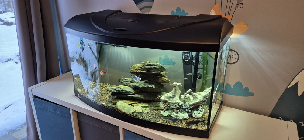 Zestaw akwarium 112l z rybkami i osprzętem