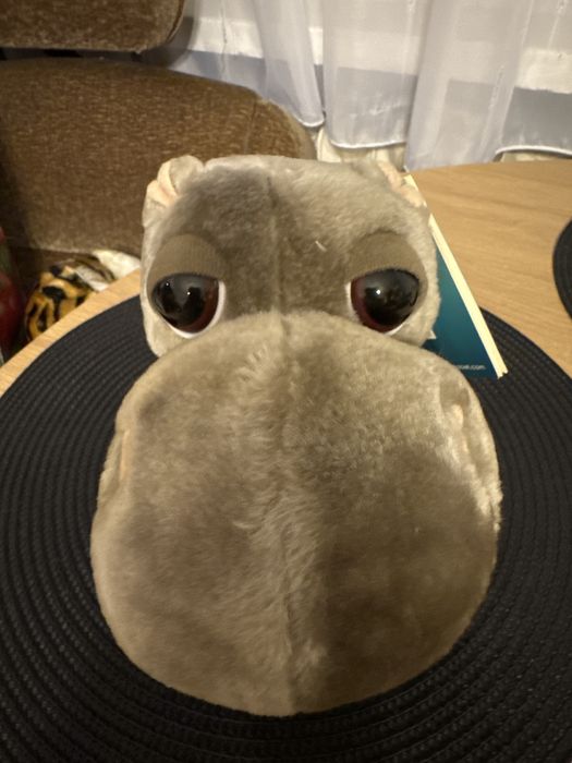 Maskotka hipopotam nowa