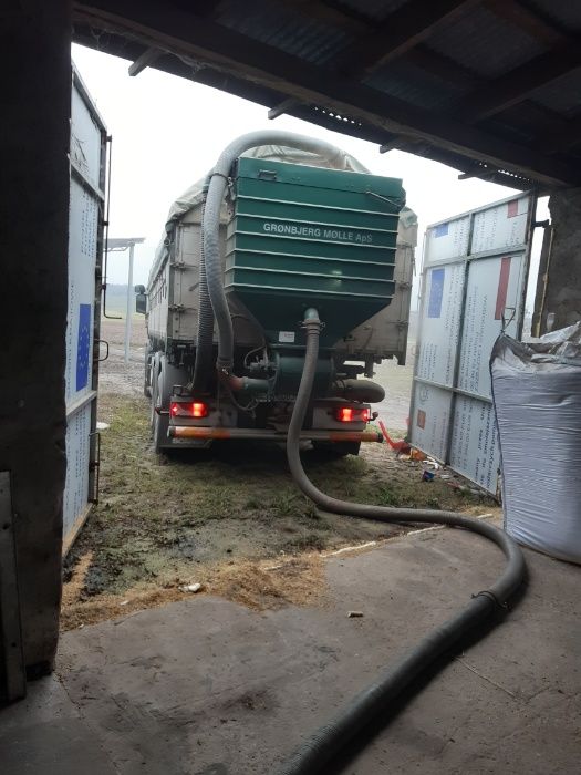 Skup zbóż , owies , żyto , pszenżyto , pszenica ,jęczmień i rzepaku