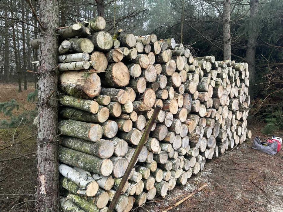 Drzewo, drewno opałowe: BRZOZA