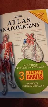 Anatomiczny atlas