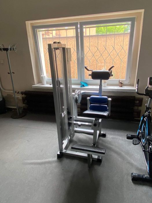 Maszyna na brzuch technogym