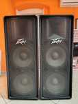 Kolumny estradowe PEAVEY PV215