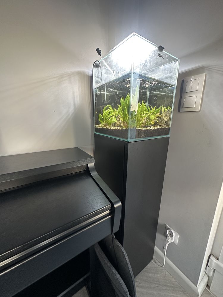 Akwarium Aquael Shrimp Set Day&Night 30 l, szafka i zawartosc